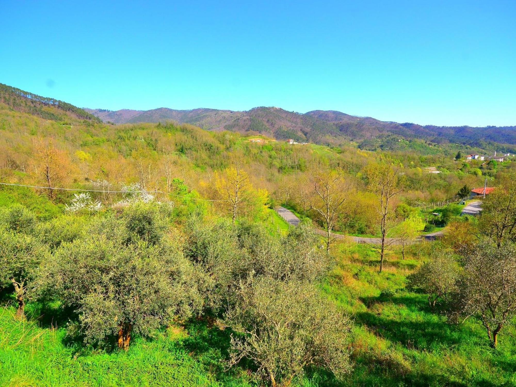 Spacious Home Surrounded By Nature Sesta Godano 외부 사진